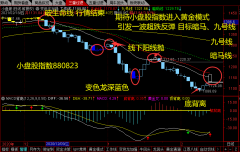 20210219 筛选被错杀的小盘股