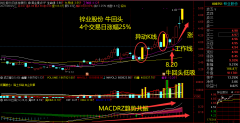 2021.8.25 本月第三只小黑马 锌业**4天涨25%